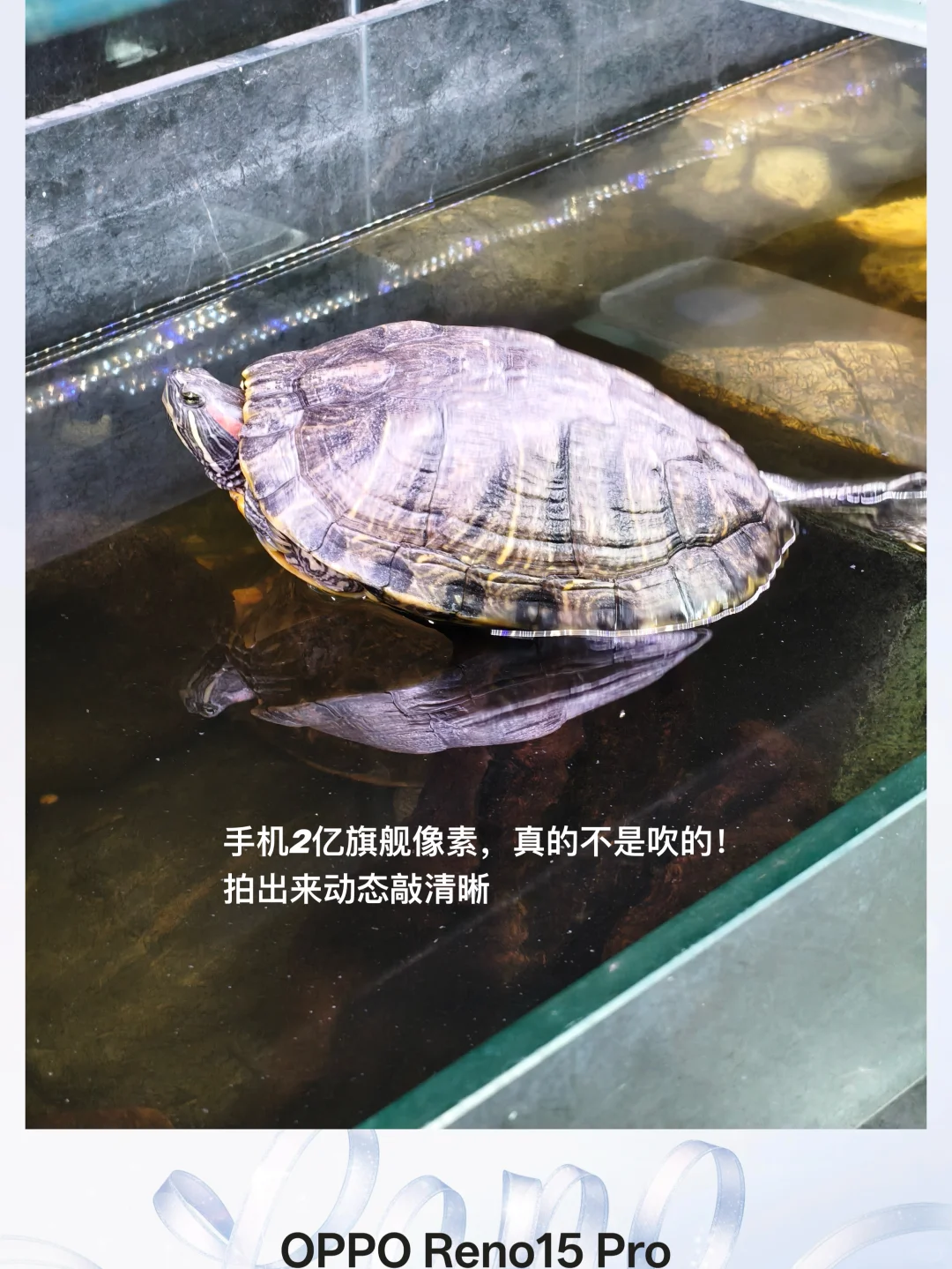 get宋雨琦同款，OPPO新机已到手