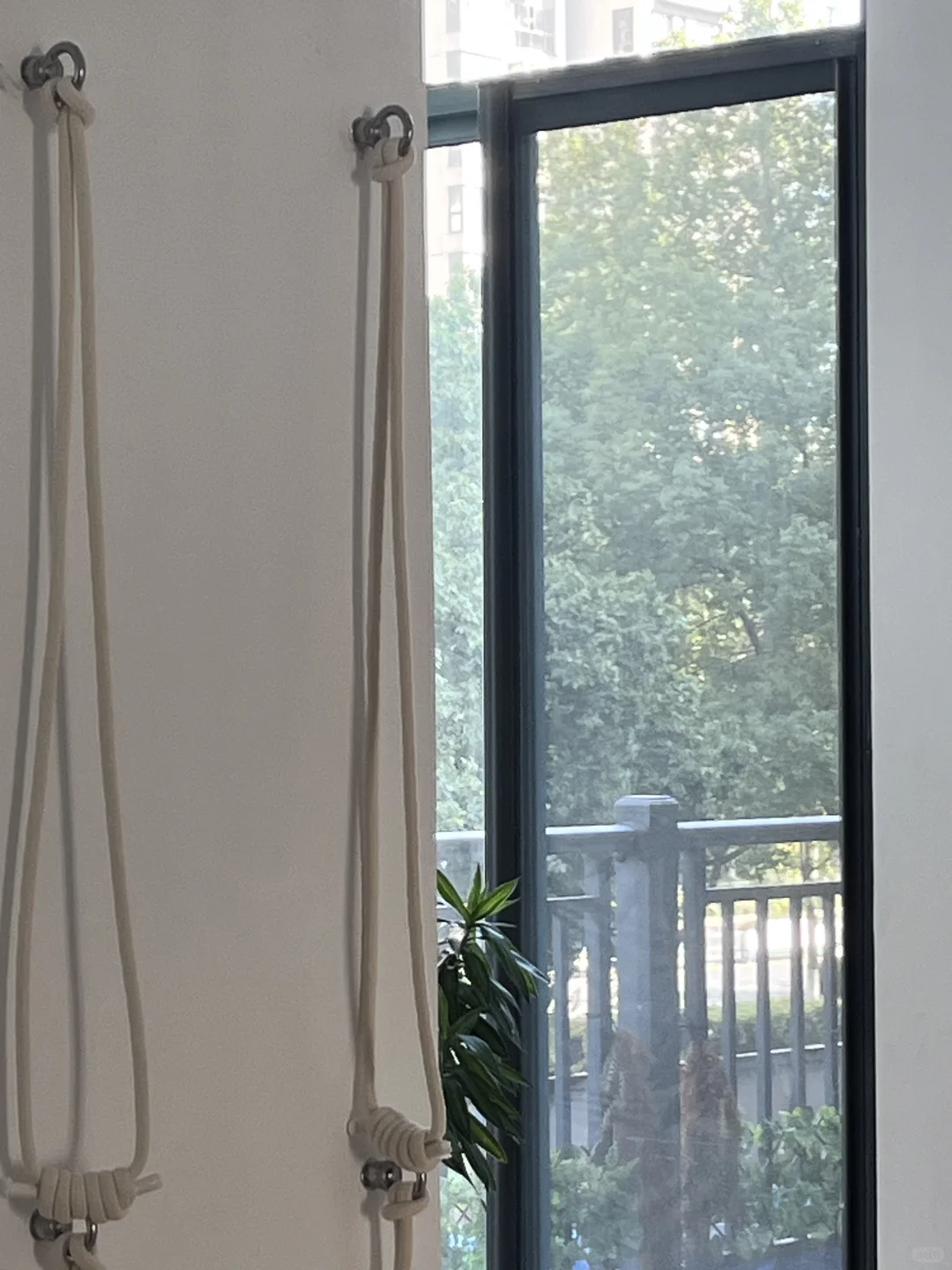 今年真的是瑜伽普拉提行业的寒冬