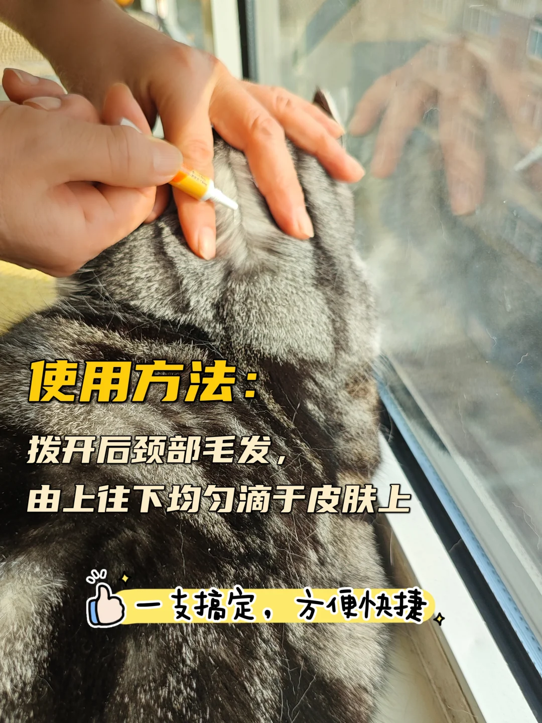 新手驱虫｜别走我弯路！