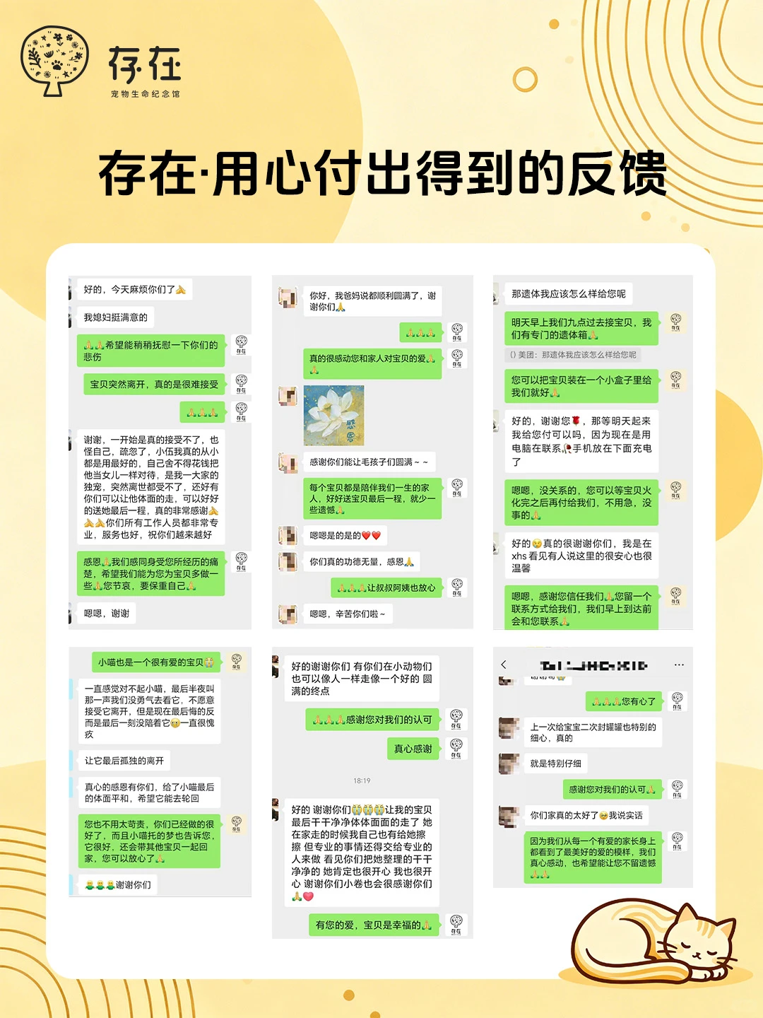 泉州宠物火化殡葬善终安乐服务价格项目费用