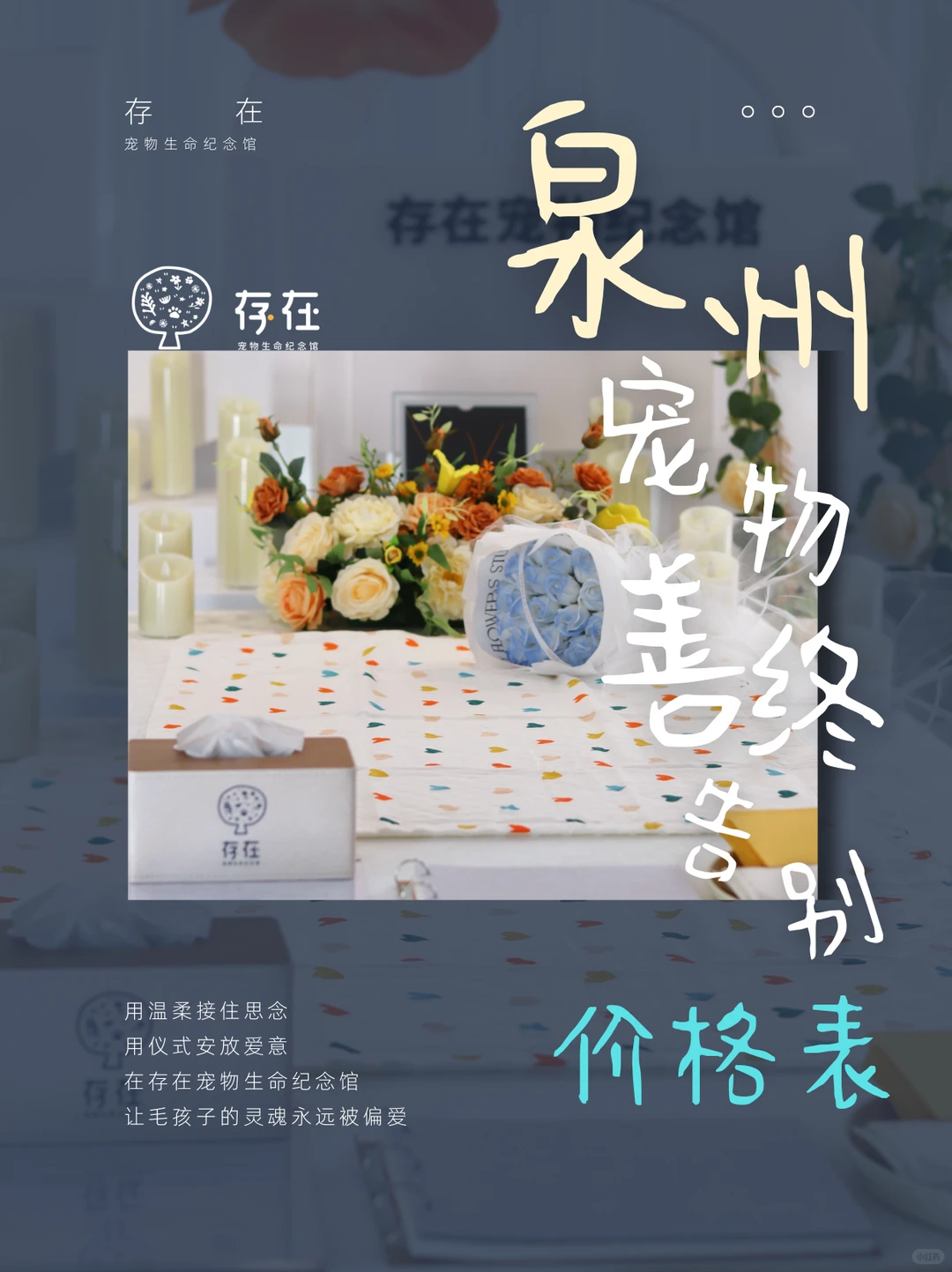 泉州宠物火化殡葬善终安乐服务价格项目费用