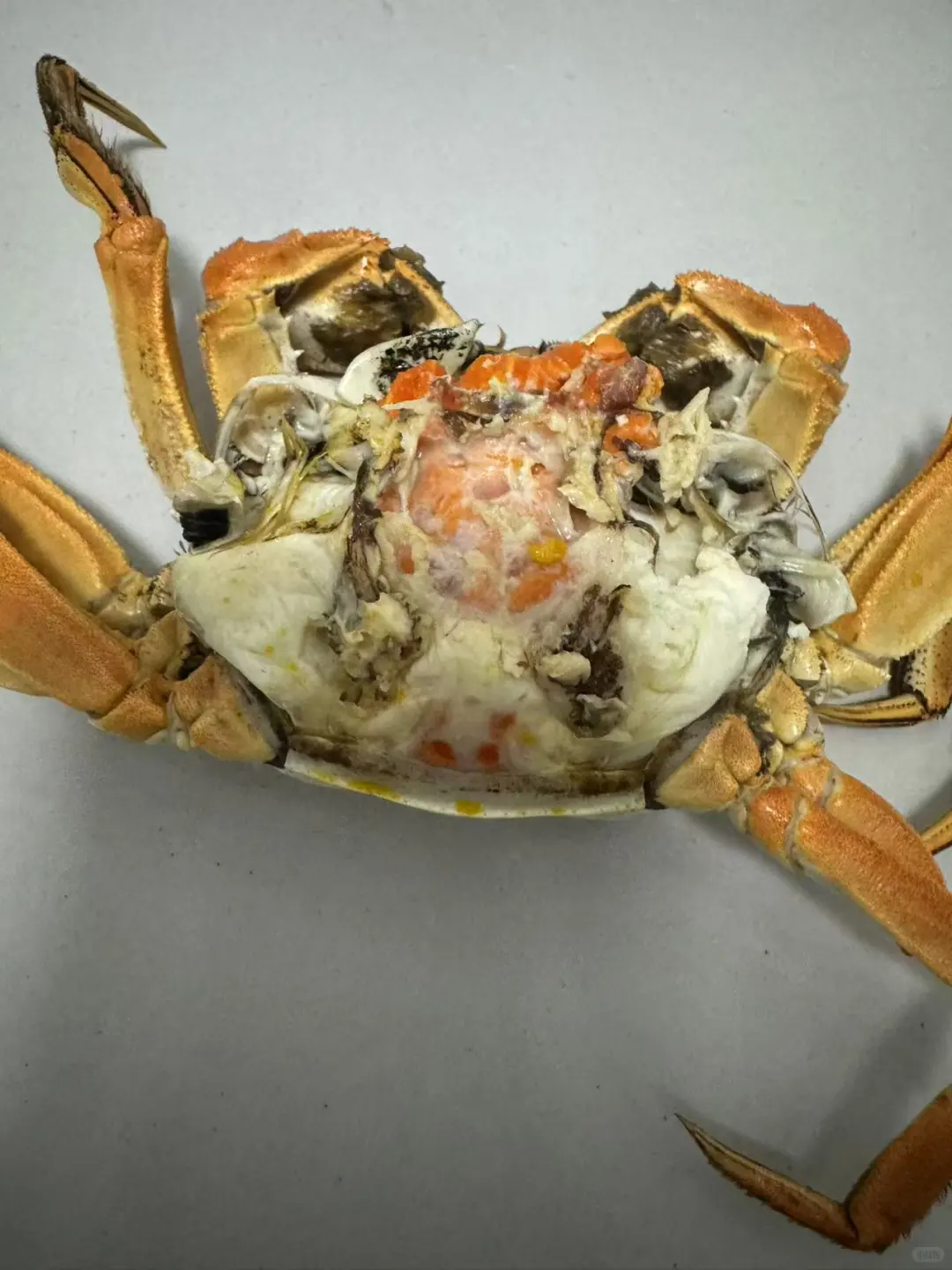 大闸蟹这个价格你们说可不可以