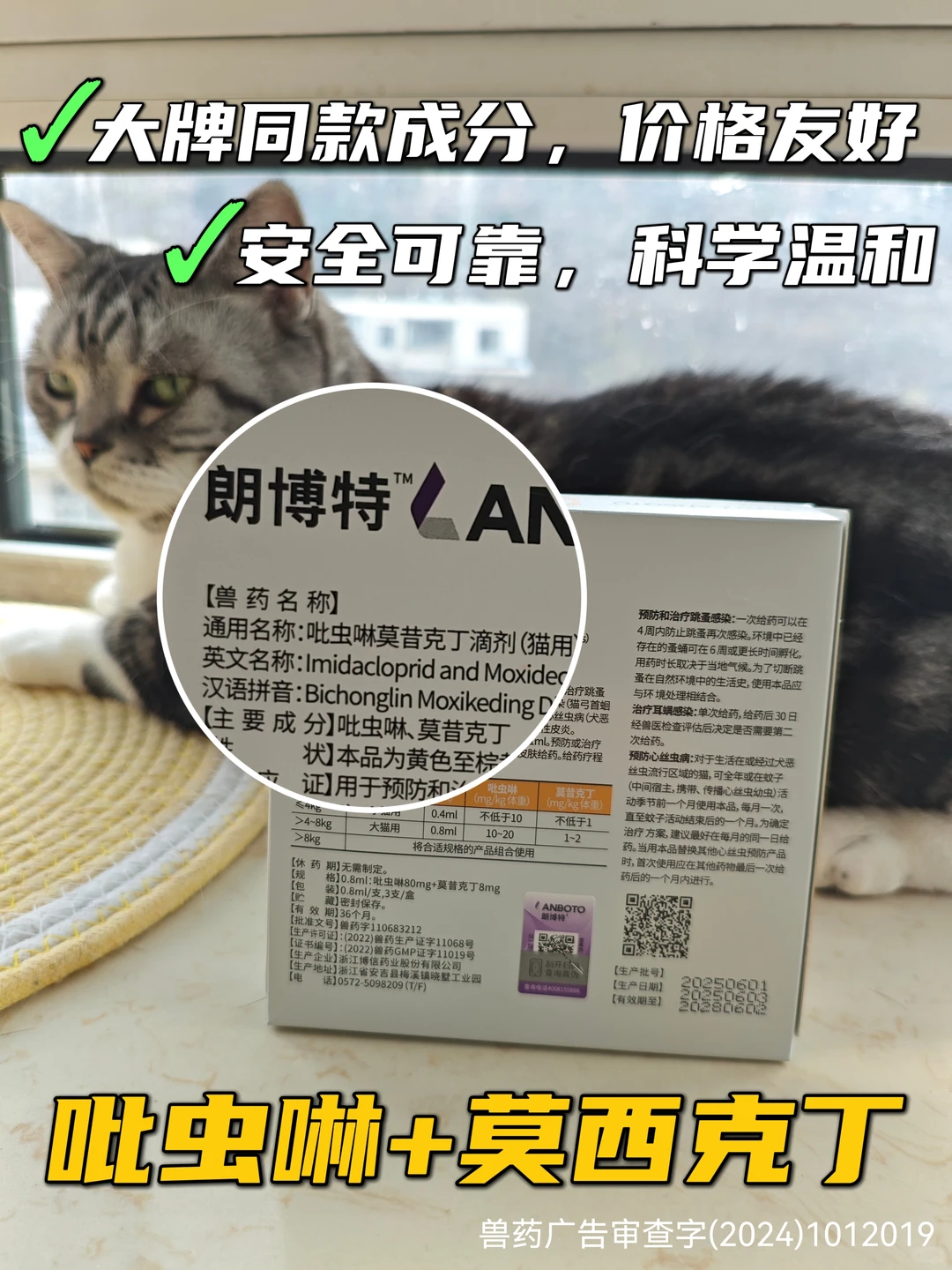 新手驱虫｜别走我弯路！