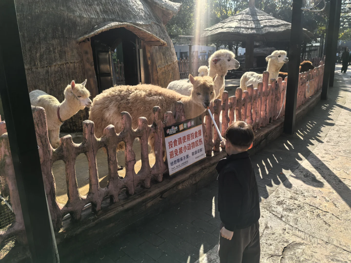 体验感100分的旅行