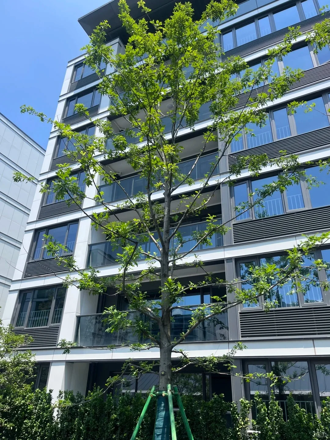 原500万 现340万天津一梯一户，南开🎒