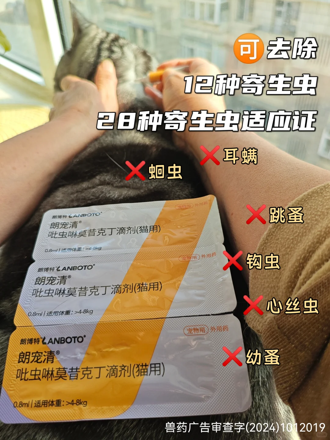 新手驱虫｜别走我弯路！