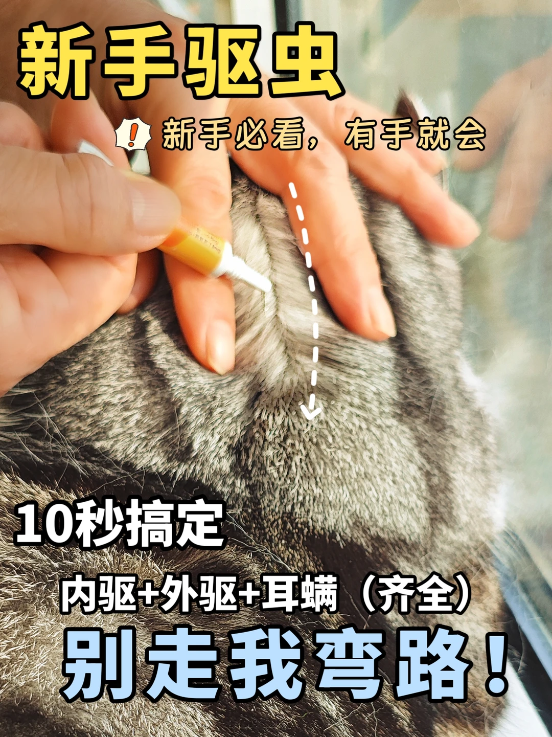 新手驱虫｜别走我弯路！