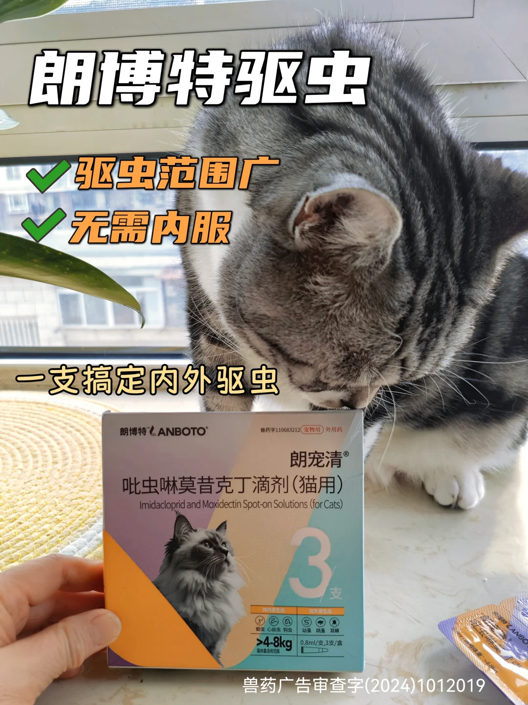 新手驱虫｜别走我弯路！