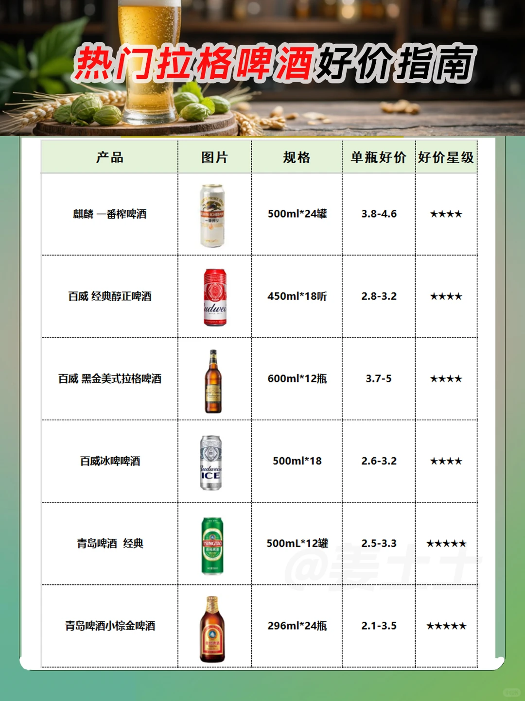 2025热门拉格啤酒好价指南