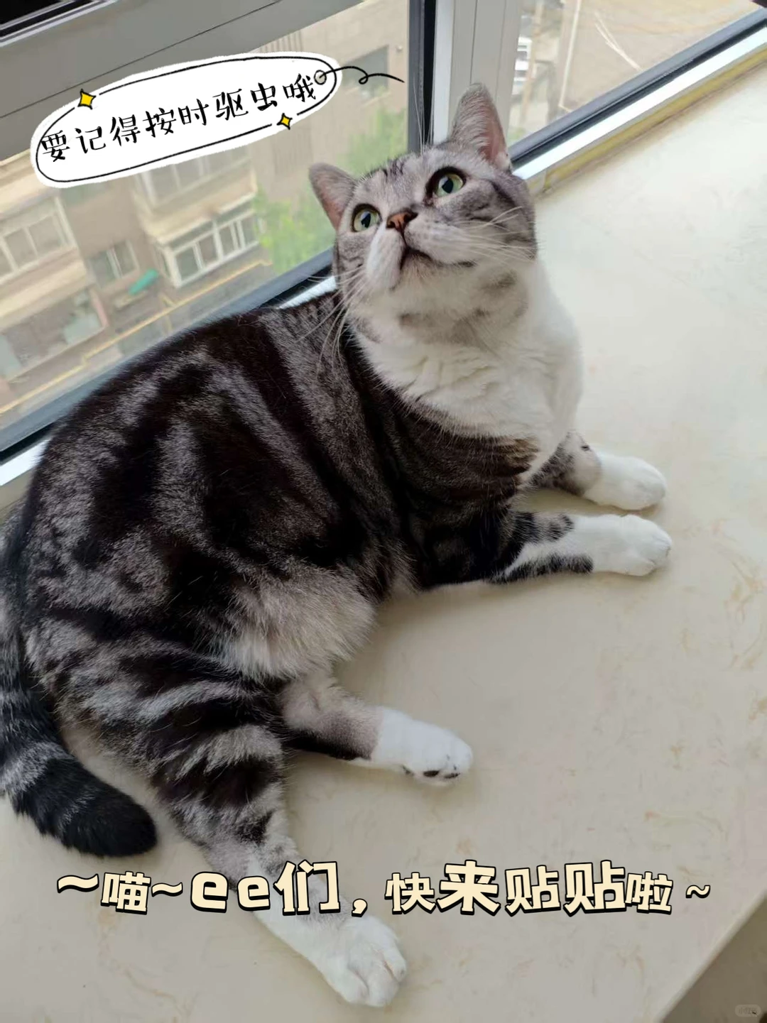 新手驱虫｜别走我弯路！