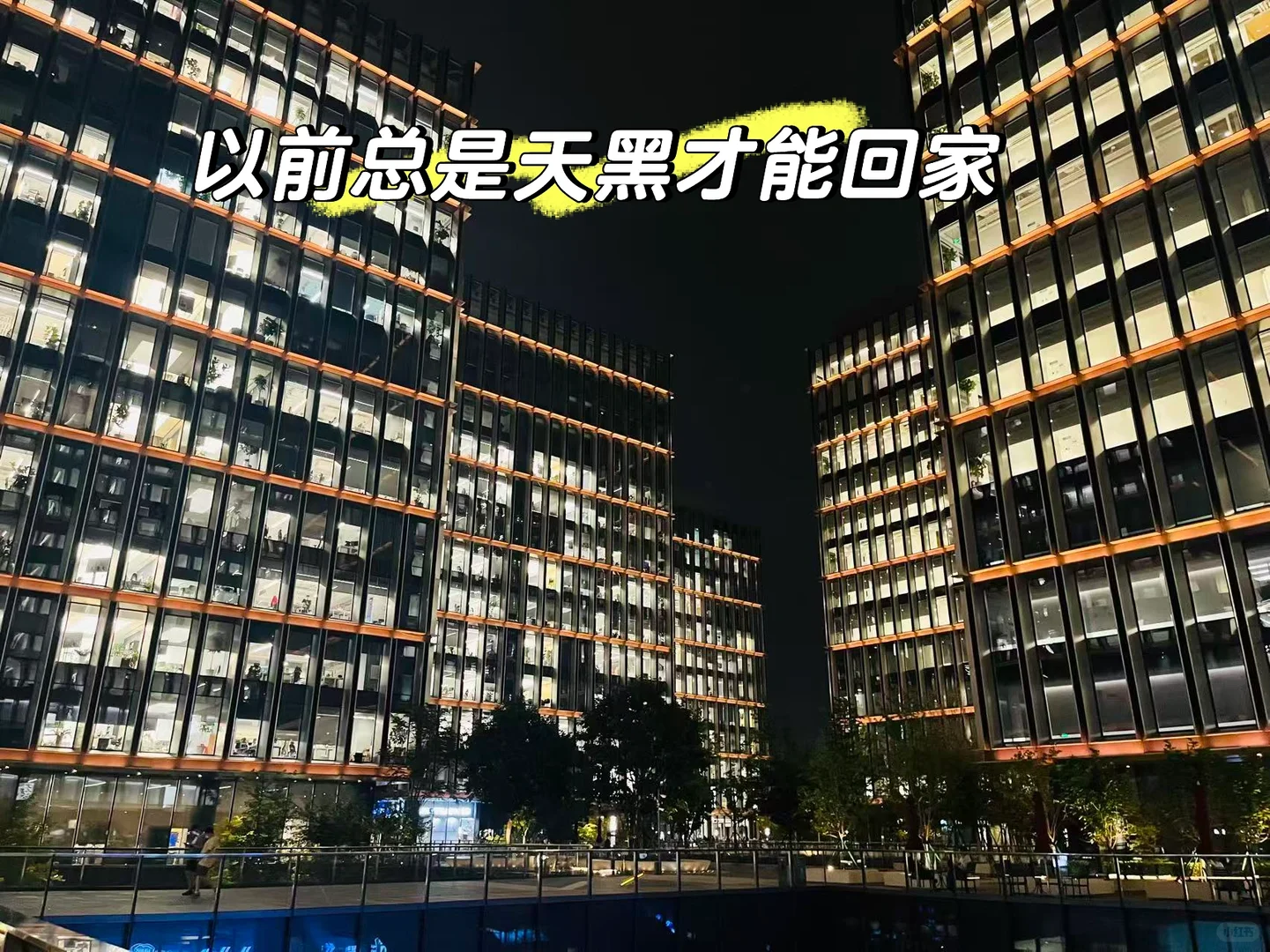 互联网转型保险行业，不上班真挺好的