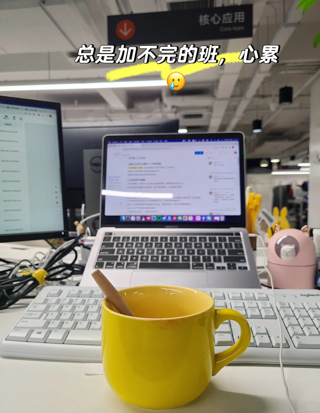 互联网转型保险行业，不上班真挺好的