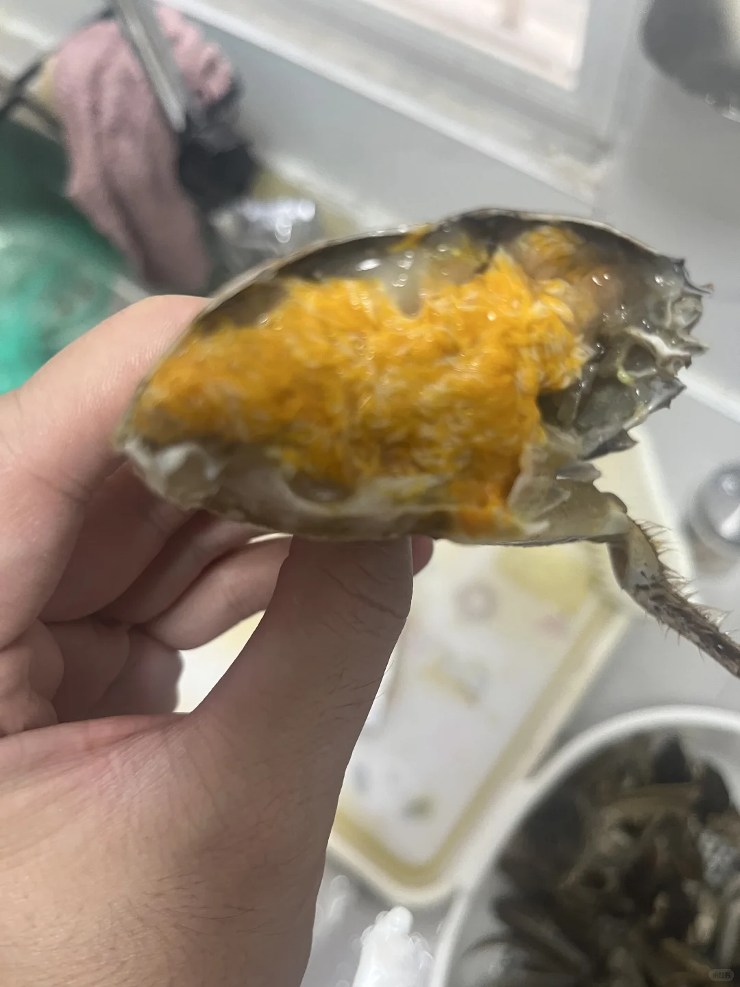 大闸蟹这个价格你们觉得贵吗#大闸蟹#螃蟹🦀