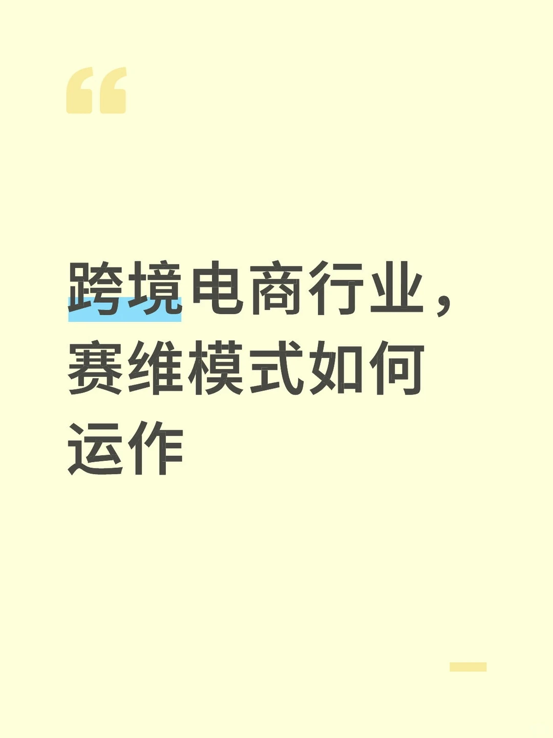 跨境电商行业，赛维模式如何运作的，我可以