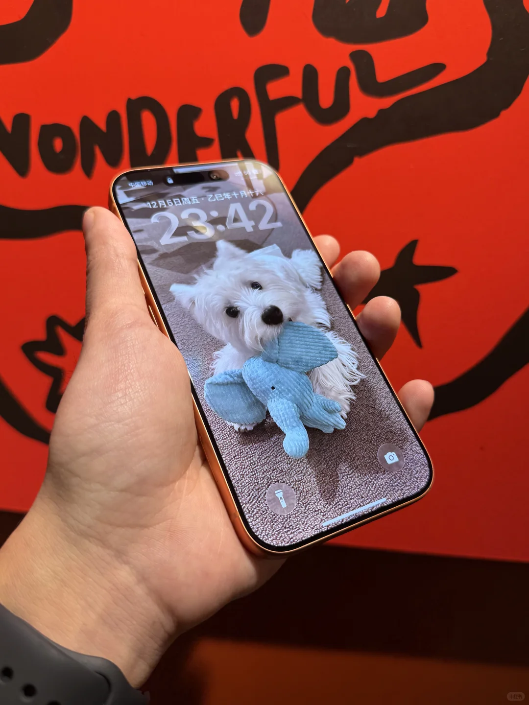 斥巨资体验最近风很大的AR膜