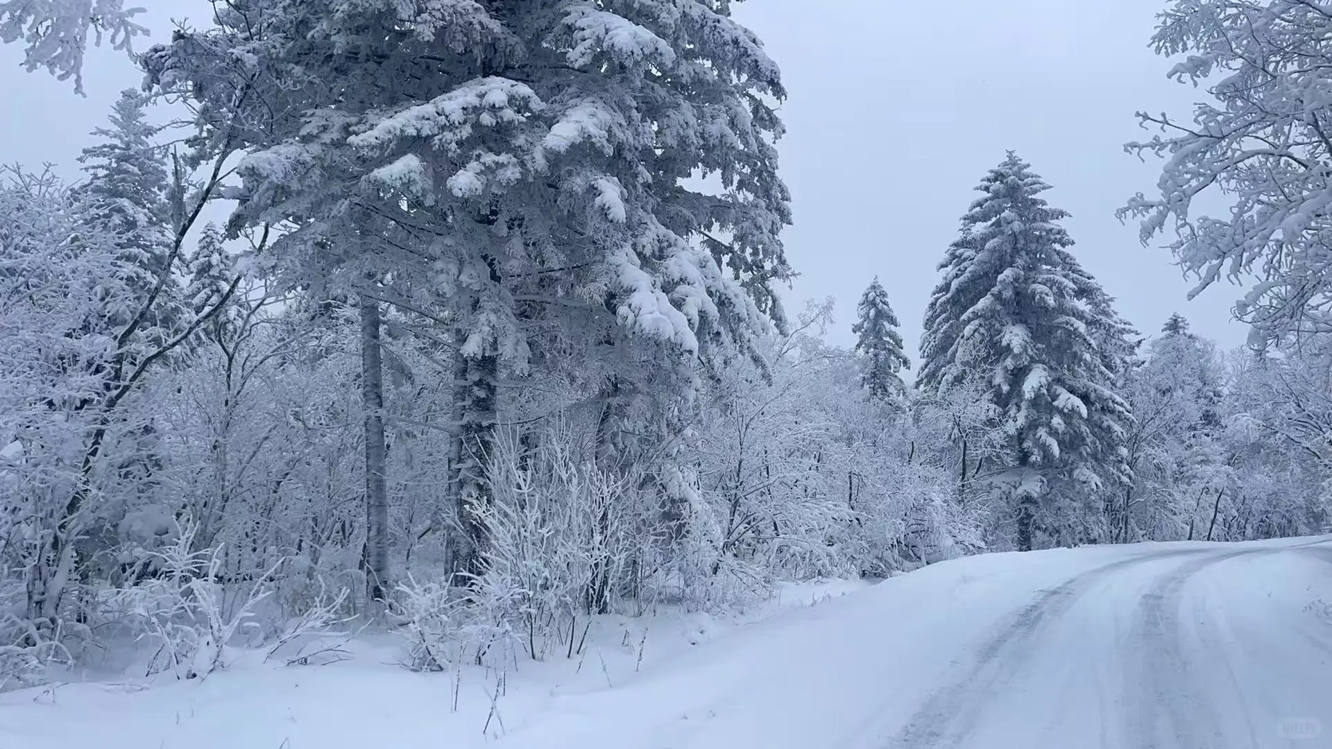 延吉长白山拼车包车价格表