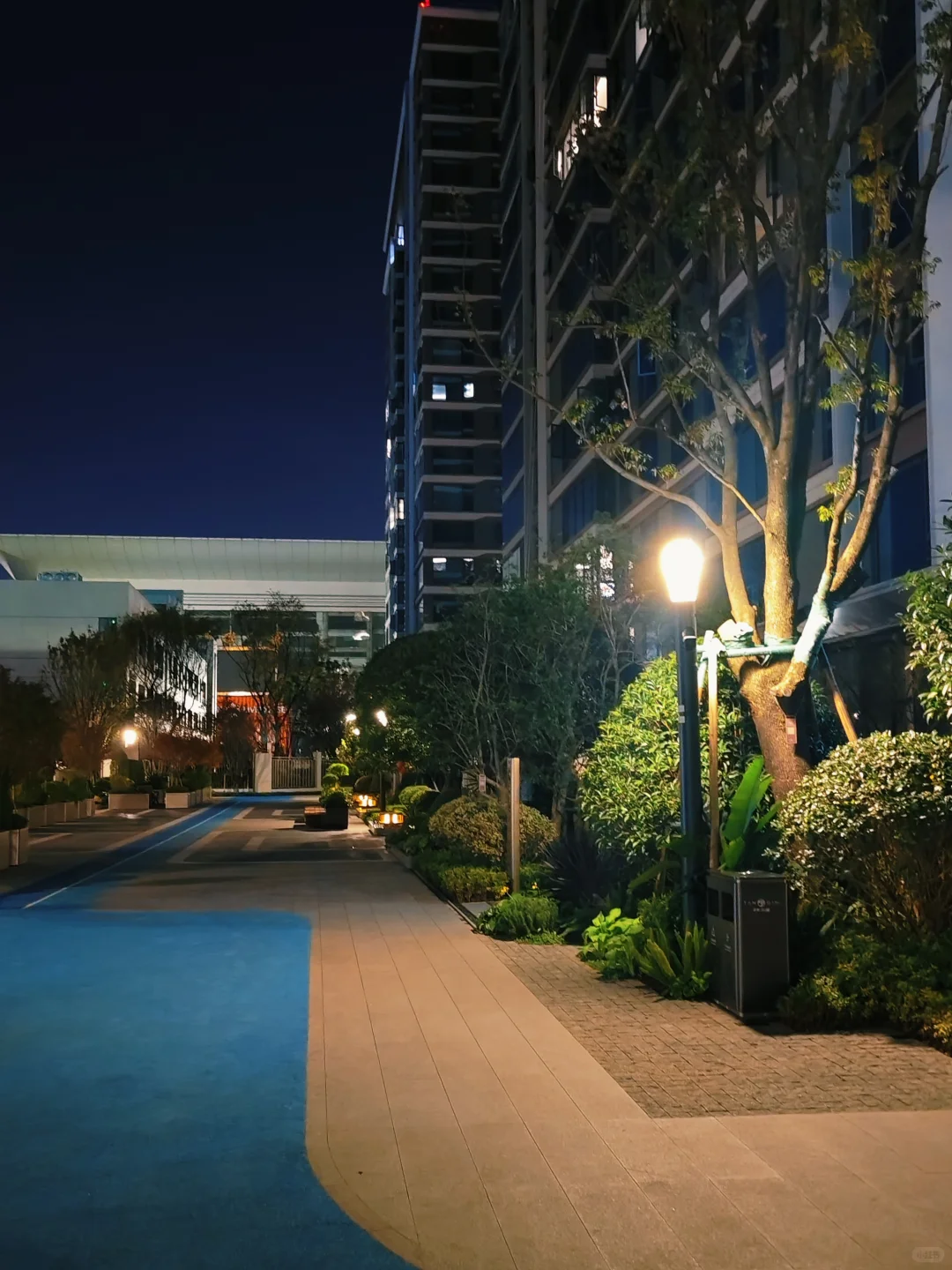 用上海十分之一的价格旅居云南昆明版纳