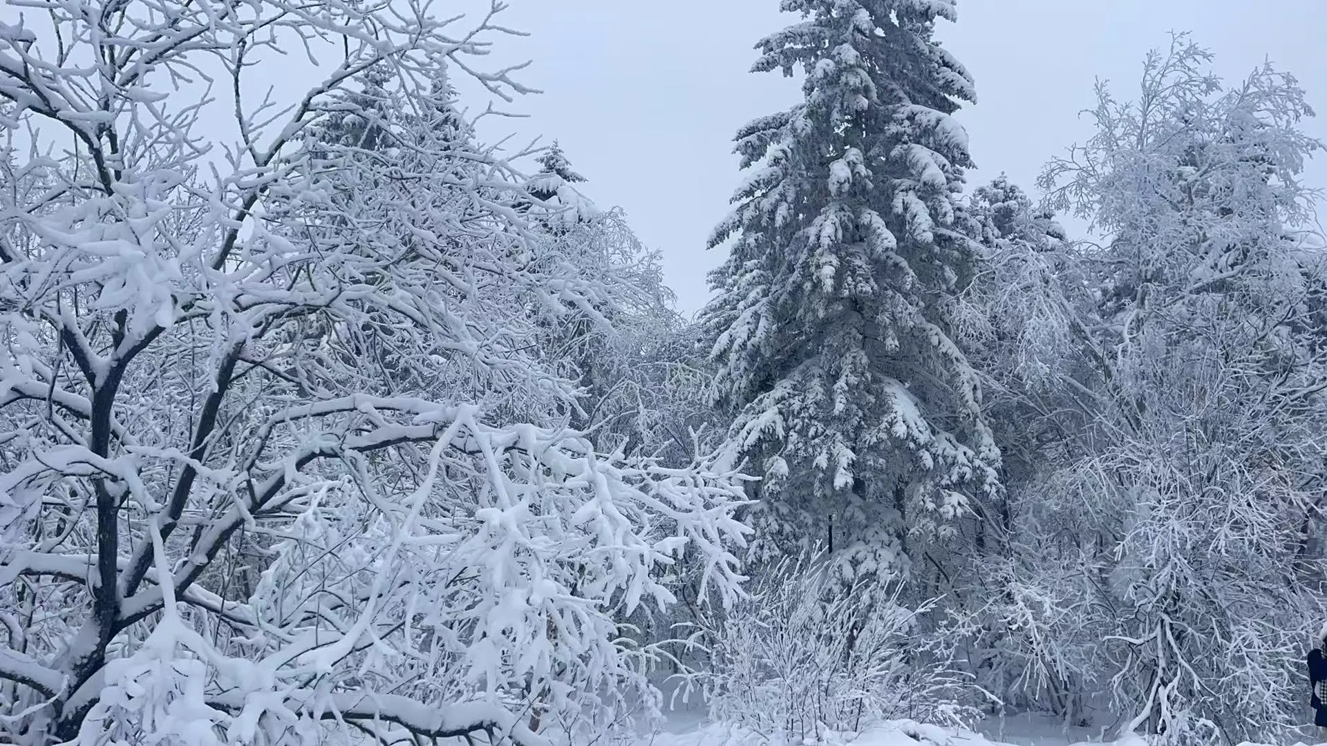 延吉长白山拼车包车价格表