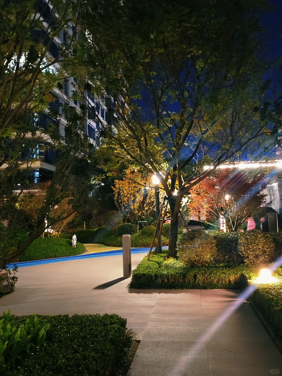 用上海十分之一的价格旅居云南昆明版纳