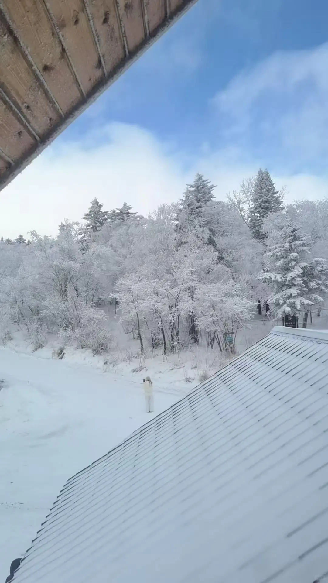 延吉长白山拼车包车价格表