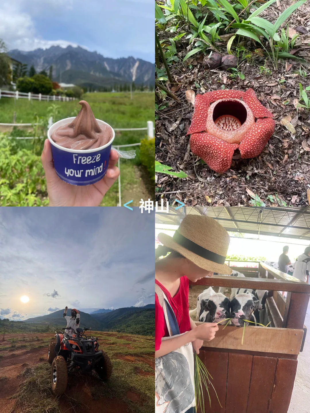 最新版超全整理！2026年亚庇出海/日游价格表