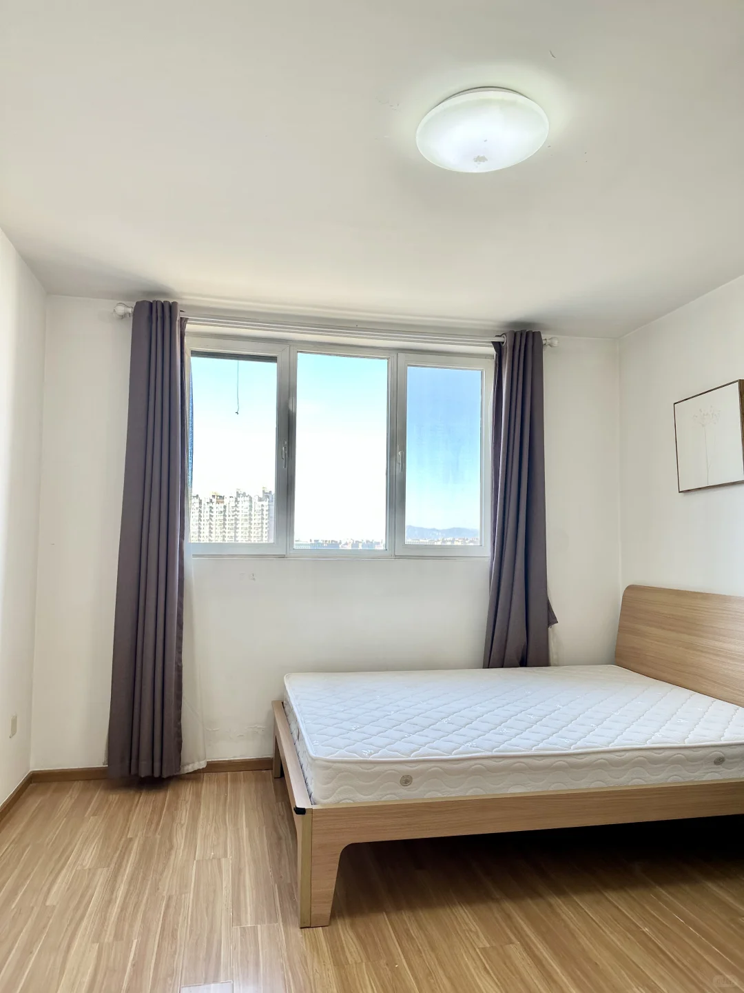 🏠业主直租｜奥森旁观景两居 7000+拎包入住✨