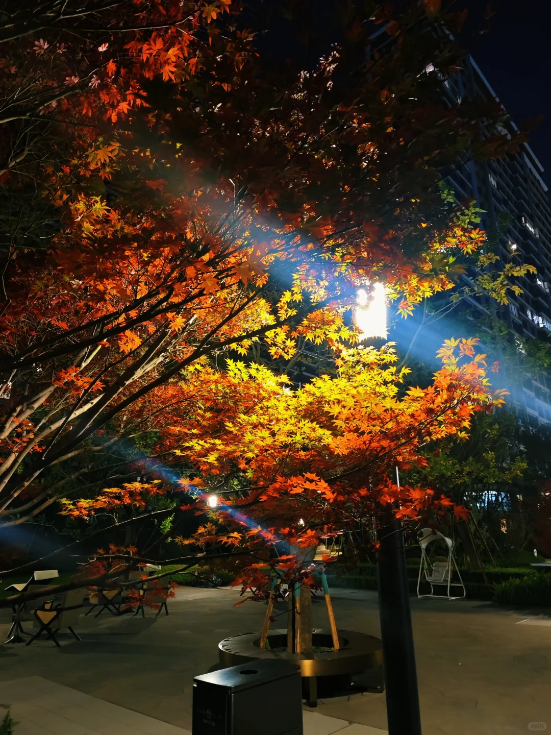 用上海十分之一的价格旅居云南昆明版纳