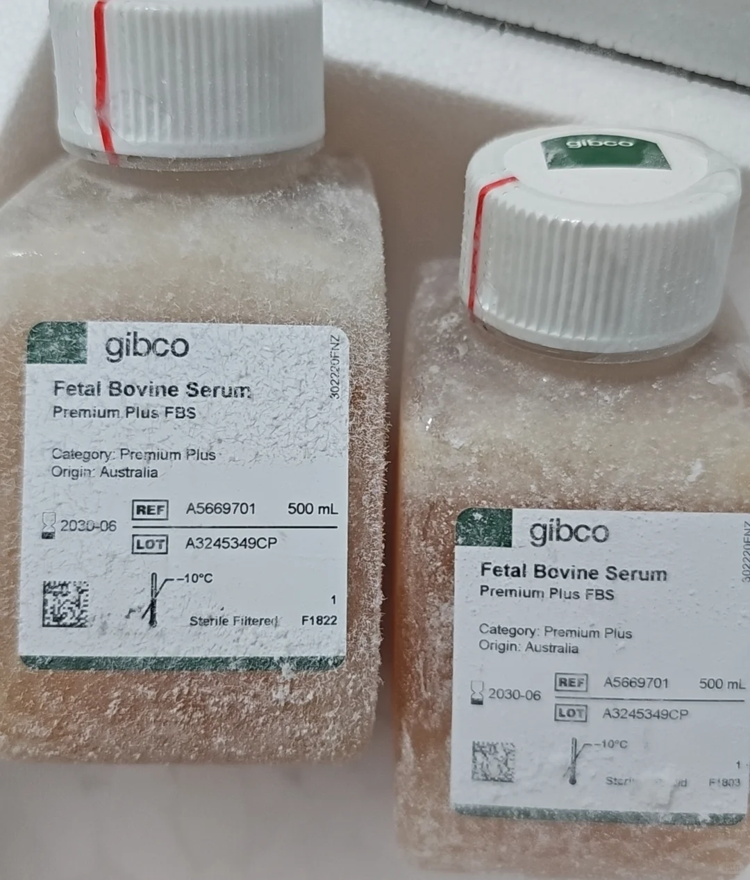 你们的Gibco澳洲胎牛血清都是啥价格买的呢