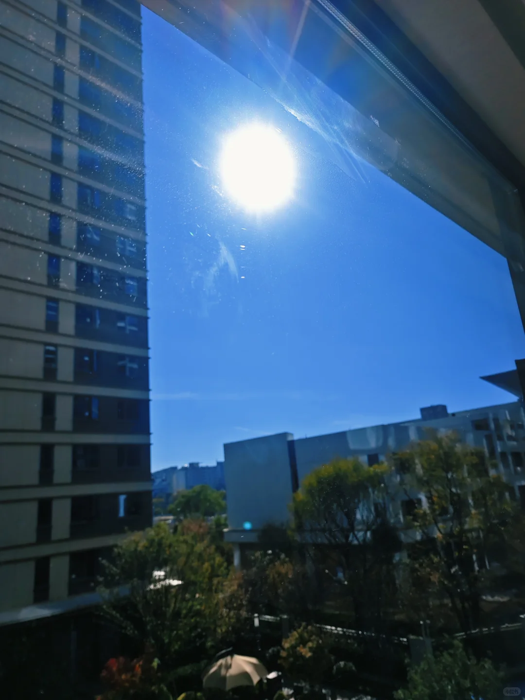 用上海十分之一的价格旅居云南昆明版纳