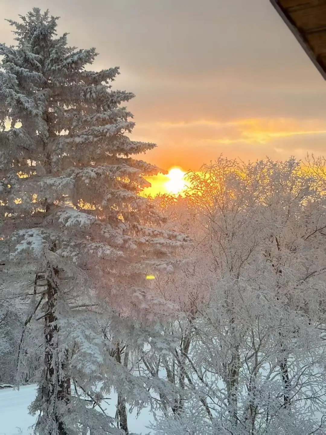 延吉长白山拼车包车价格表