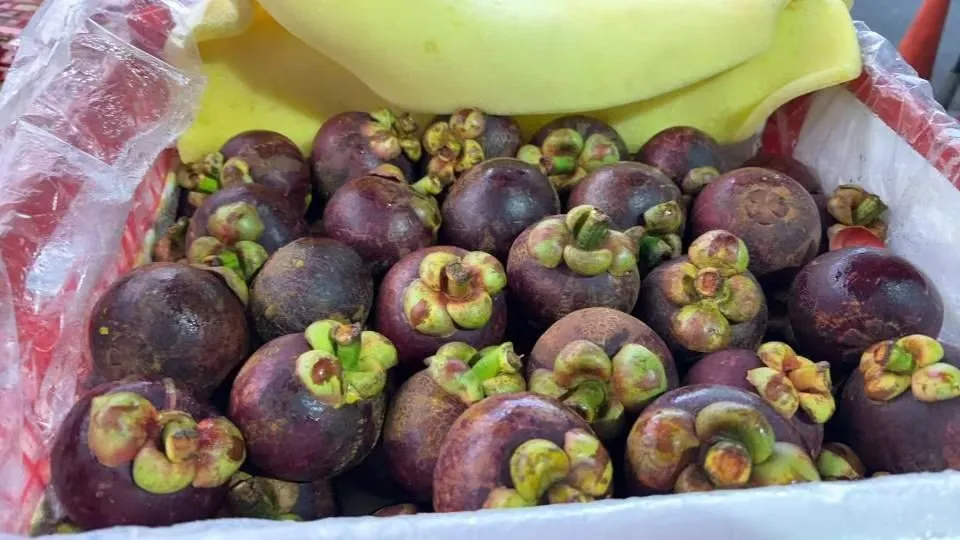 12月6日嘉兴水果市场价格表