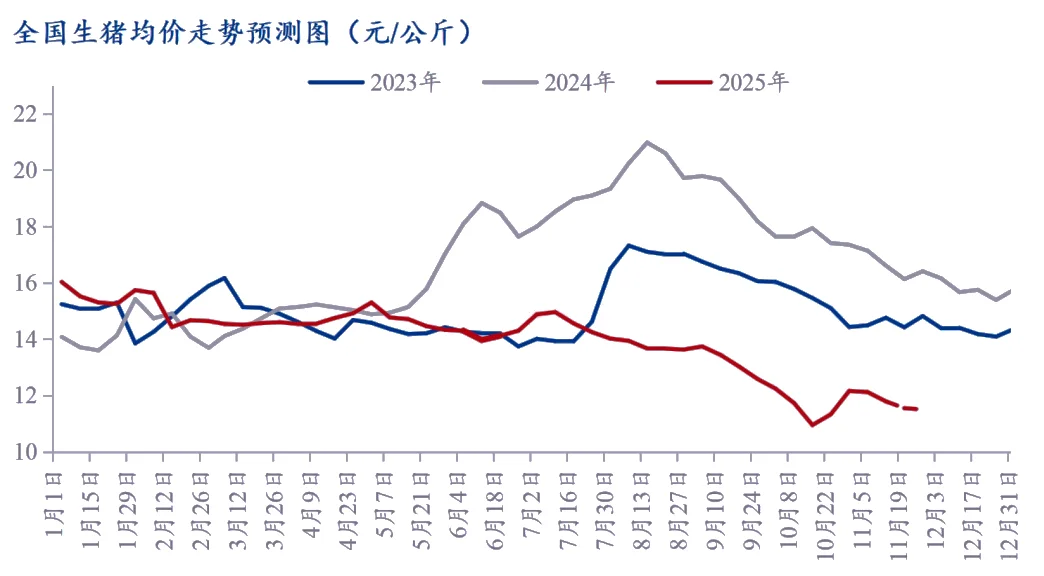 【下周猪价】主流价格或维持11.4-11.8元