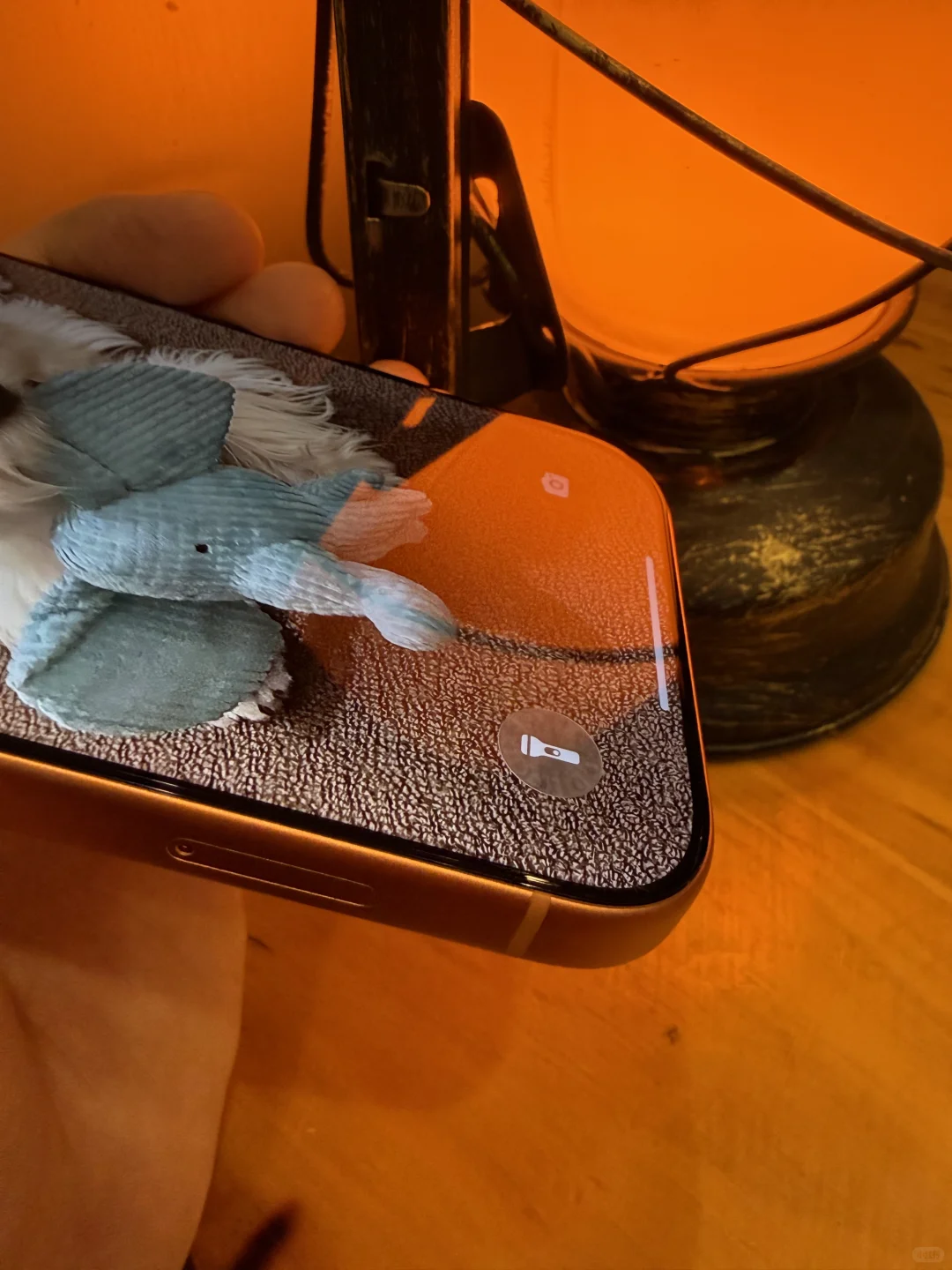 斥巨资体验最近风很大的AR膜