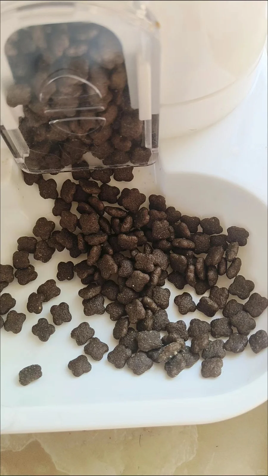 宠福星是我买过性价比最高的猫粮了！