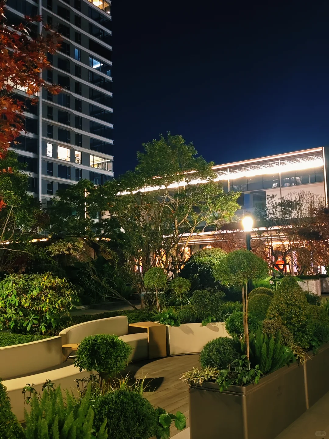 用上海十分之一的价格旅居云南昆明版纳