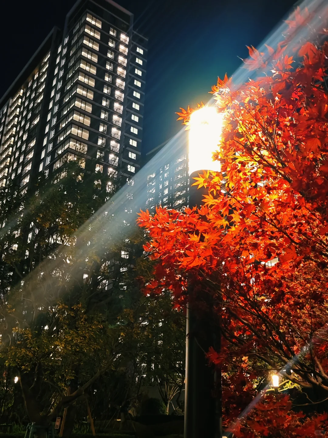 用上海十分之一的价格旅居云南昆明版纳