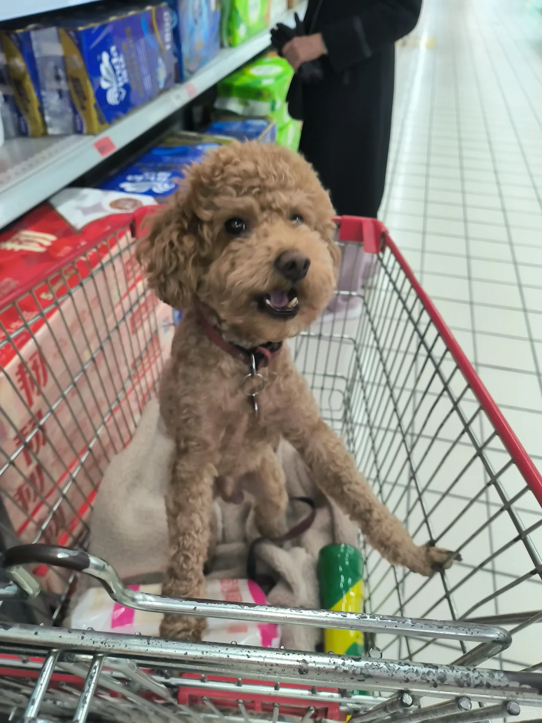 下周股市会好吗？