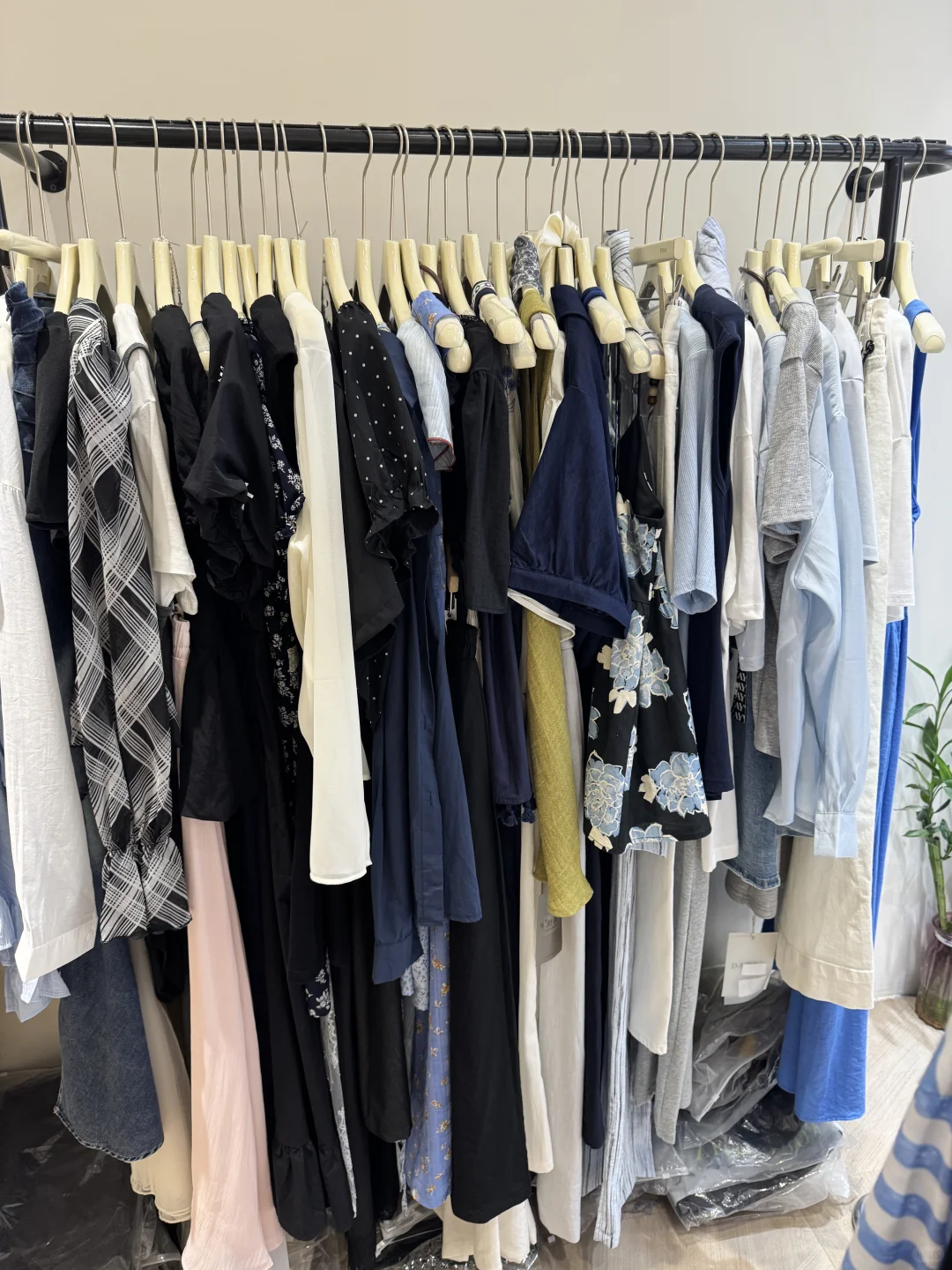 不会还有人不知道这家大码店全场夏款特价啦