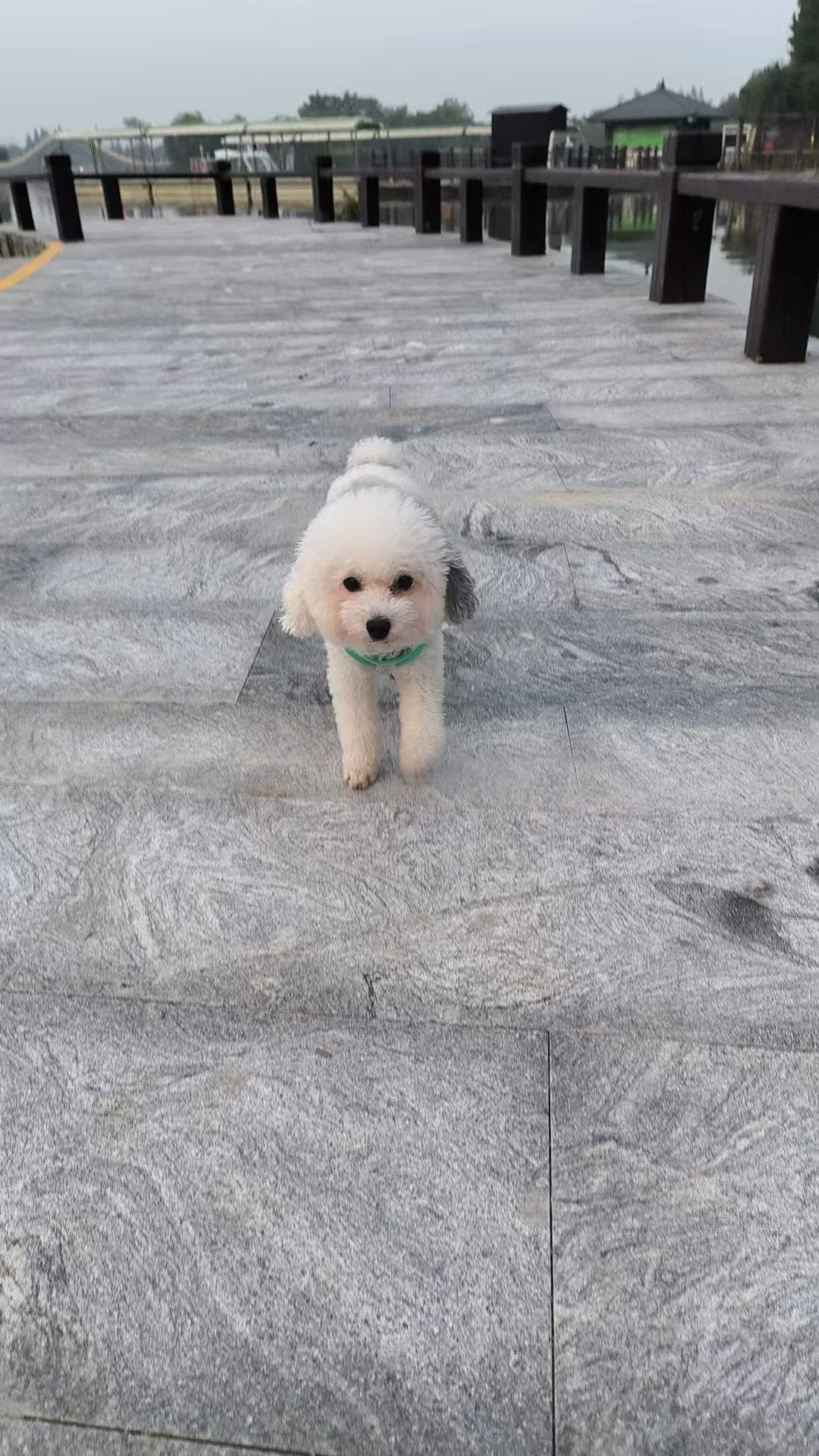 下周股市会好吗？