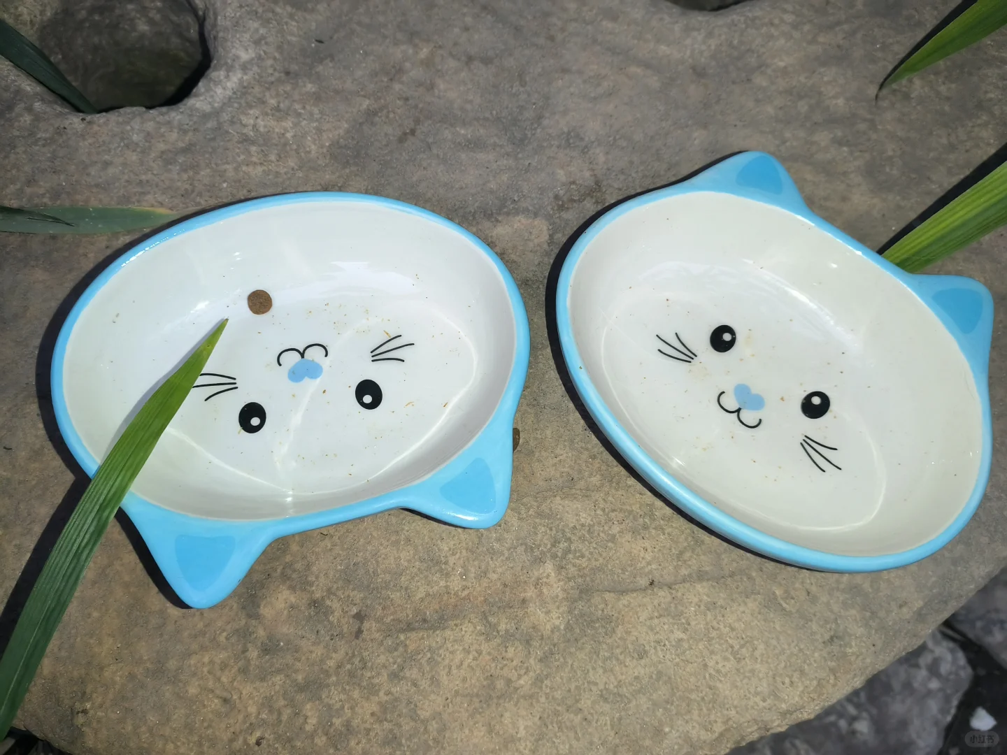 下周股市会好吗？