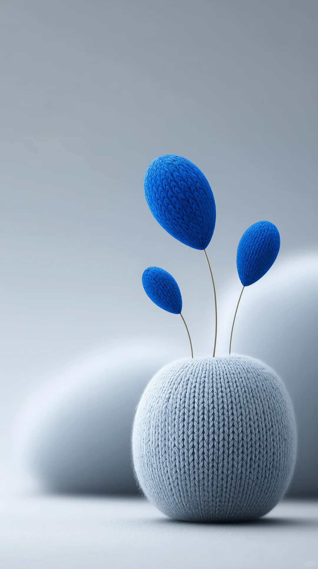 你好，软糯的2026