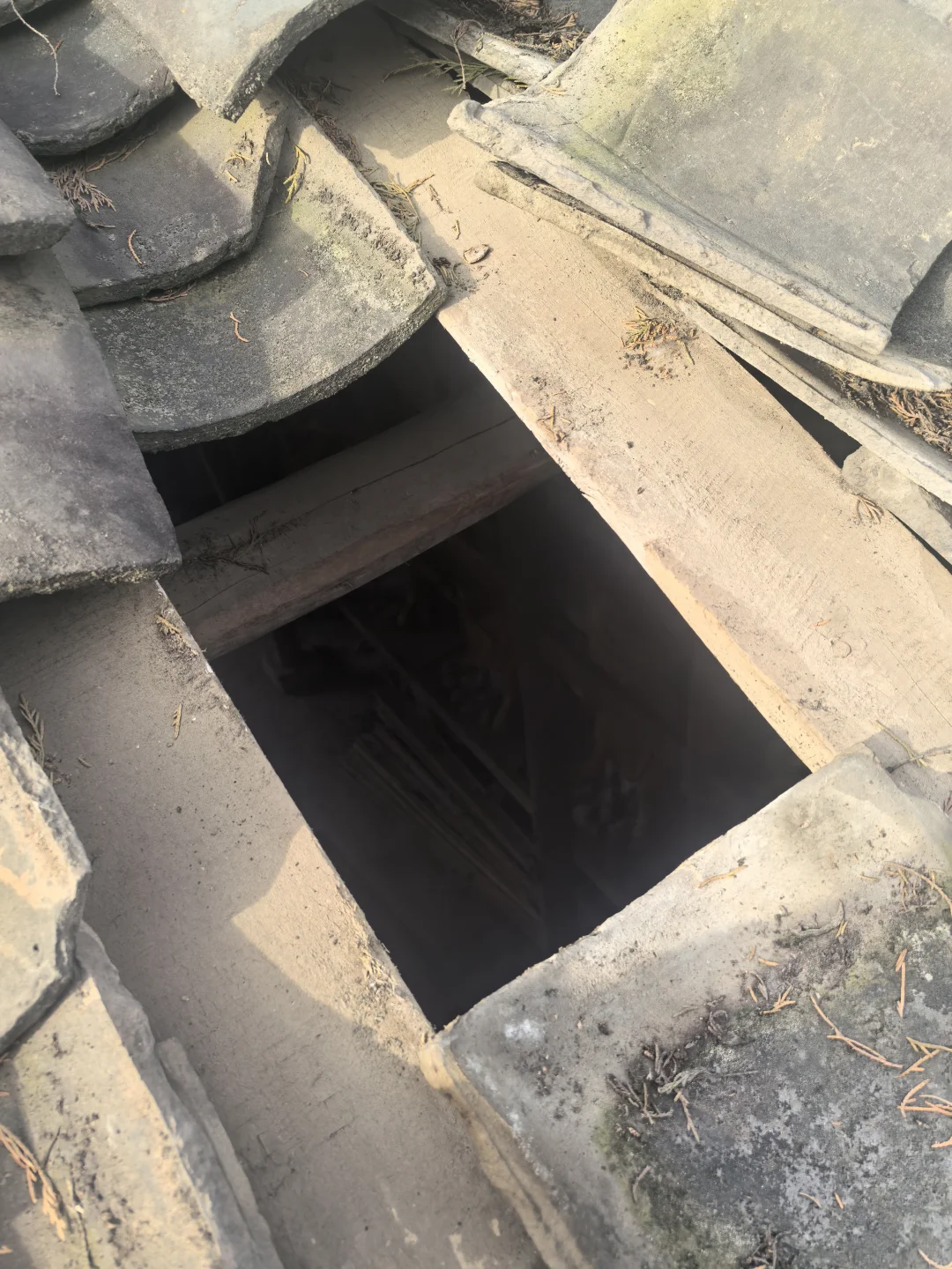 捡漏这些一天，你们都捡过什么漏？