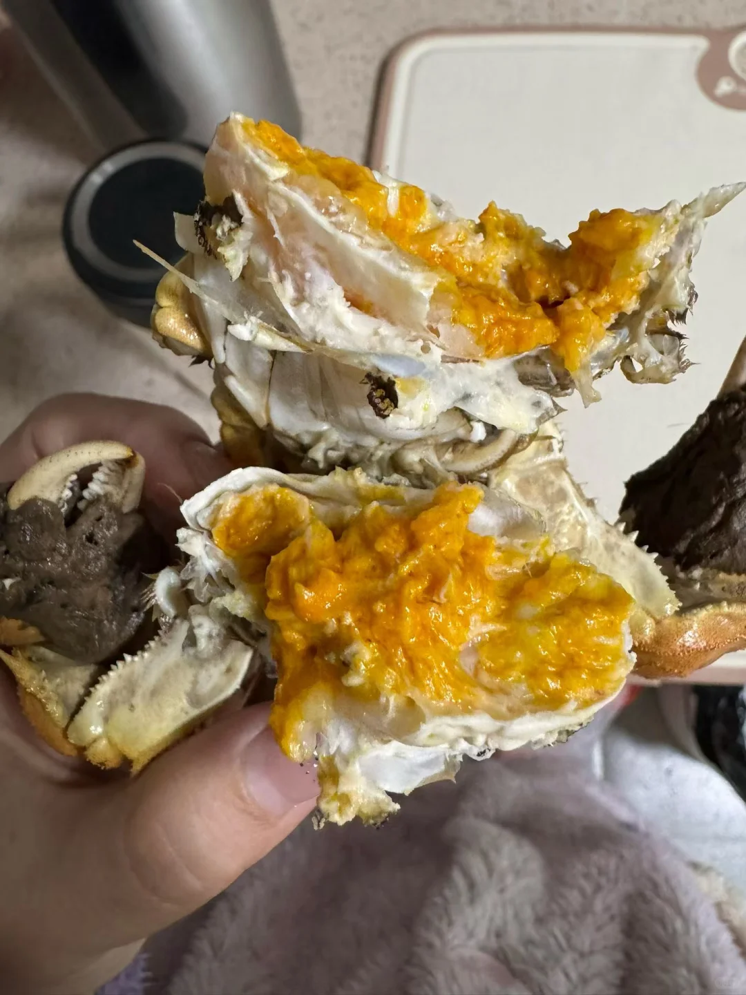 💰捡漏啦！🦀️这价格的大闸蟹还要啥自行车！