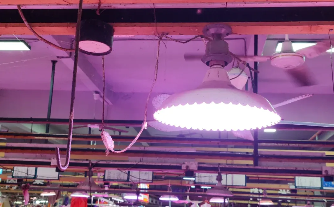 惠阳淡水市场猪肉价格