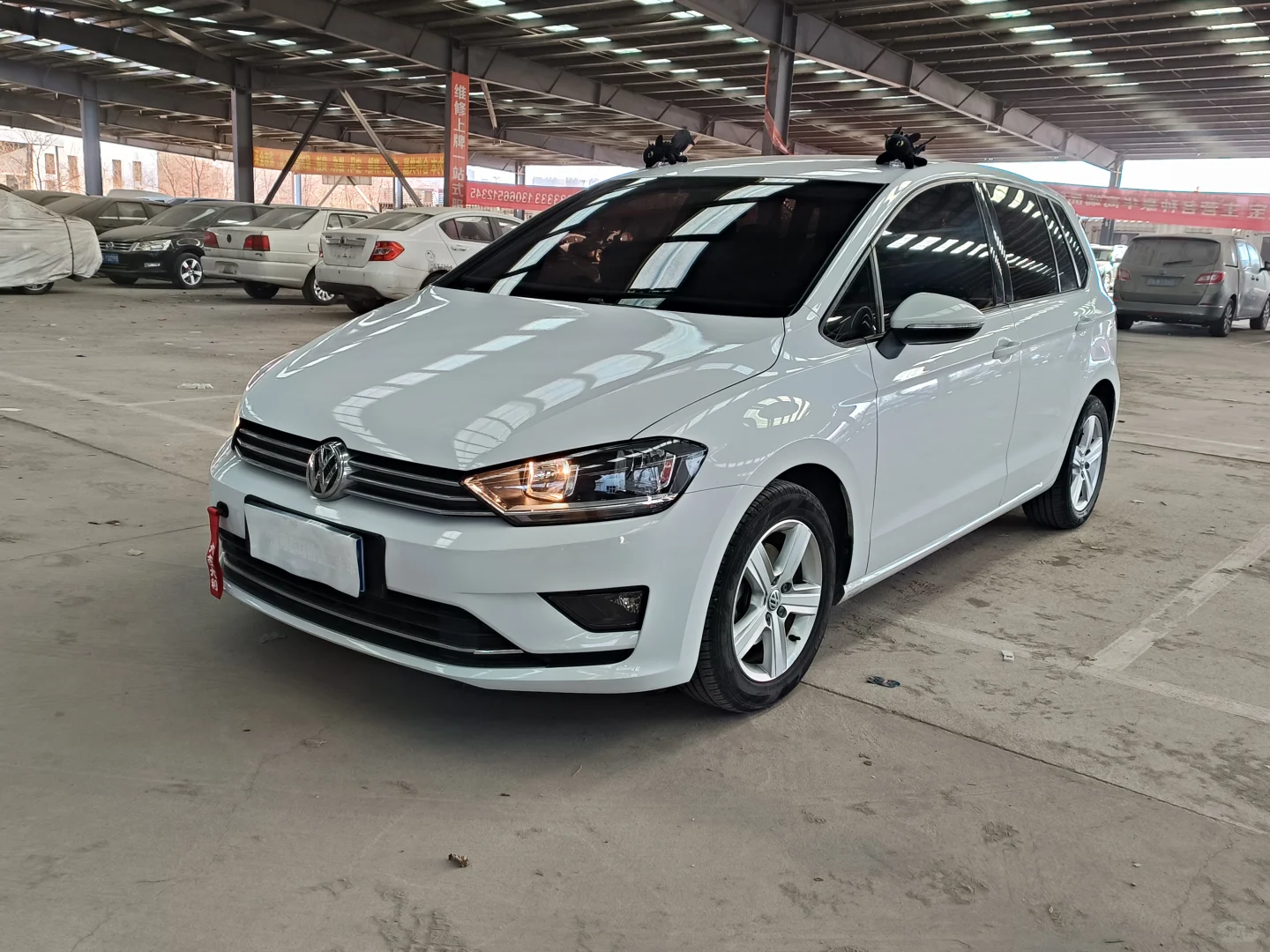 白色高尔夫！女生/新手闭眼入的“城市小精灵