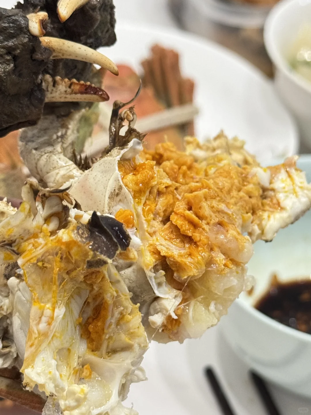 💰捡漏啦！🦀️这价格的大闸蟹还要啥自行车！