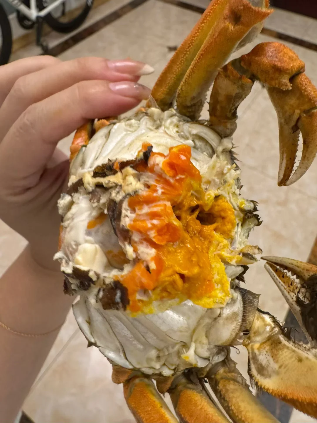 💰捡漏啦！🦀️这价格的大闸蟹还要啥自行车！