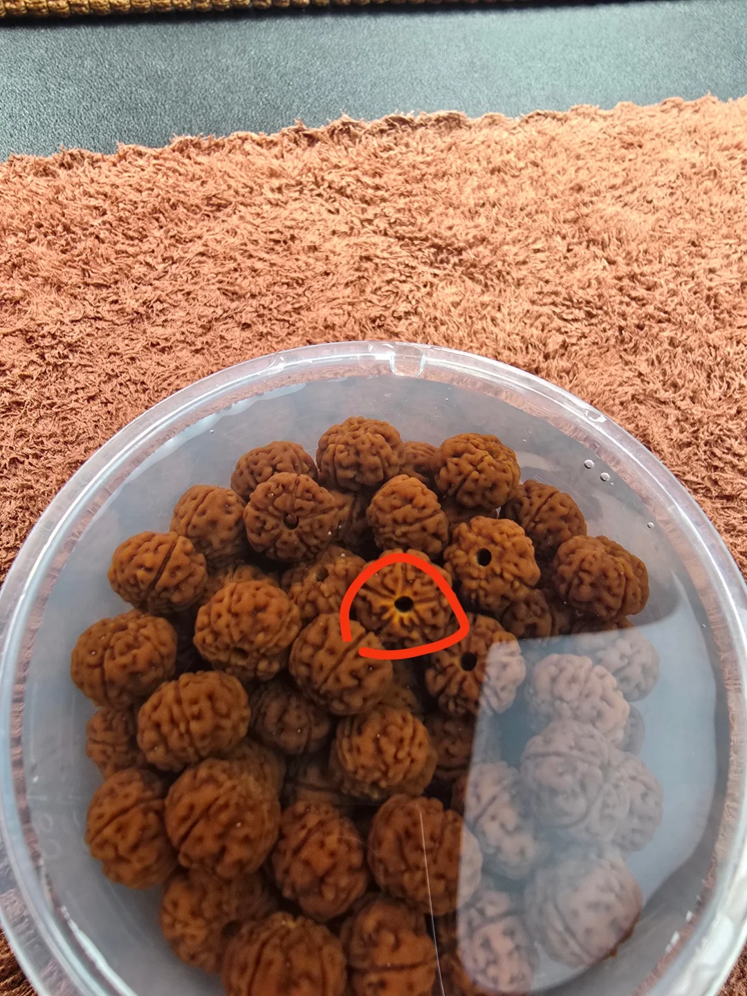 你确定小价格能买到全品老树王吗？