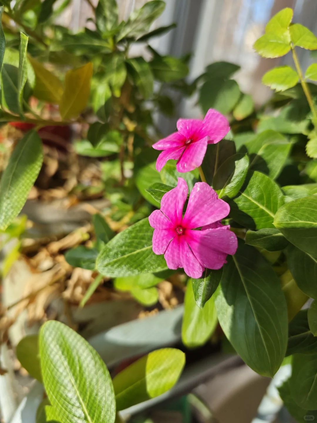 基金投资新手第一课：学会当个“笨”人