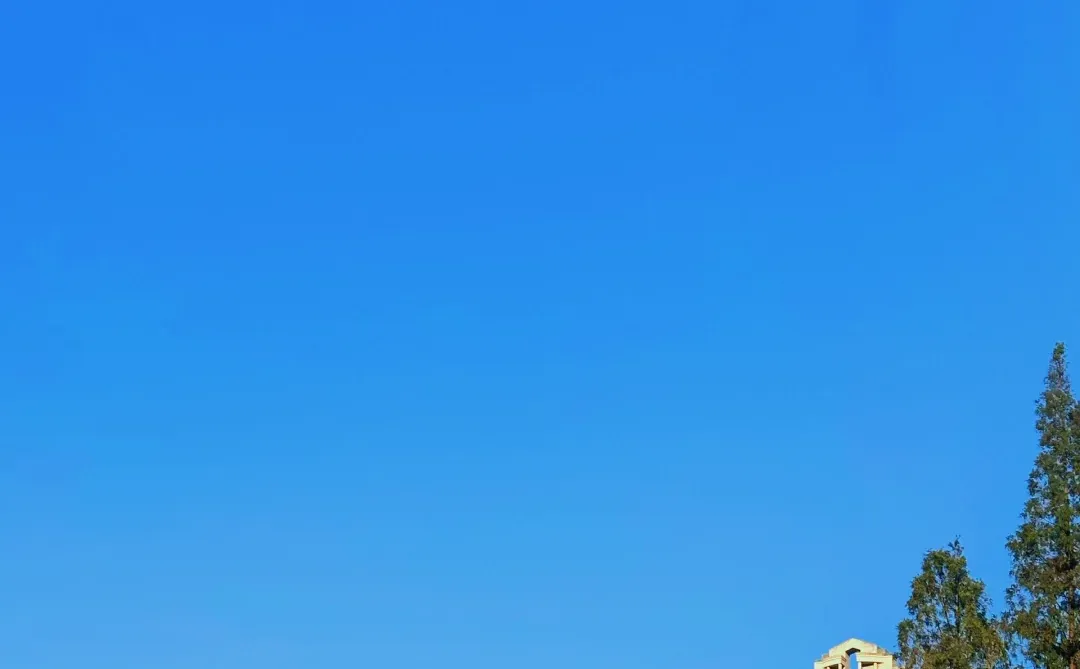 想以后彻底不上班，先找离自由职业近的工作